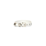Fosse Collection (Pet Leash & Collar)