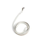 Fosse Collection (Pet Leash & Collar)