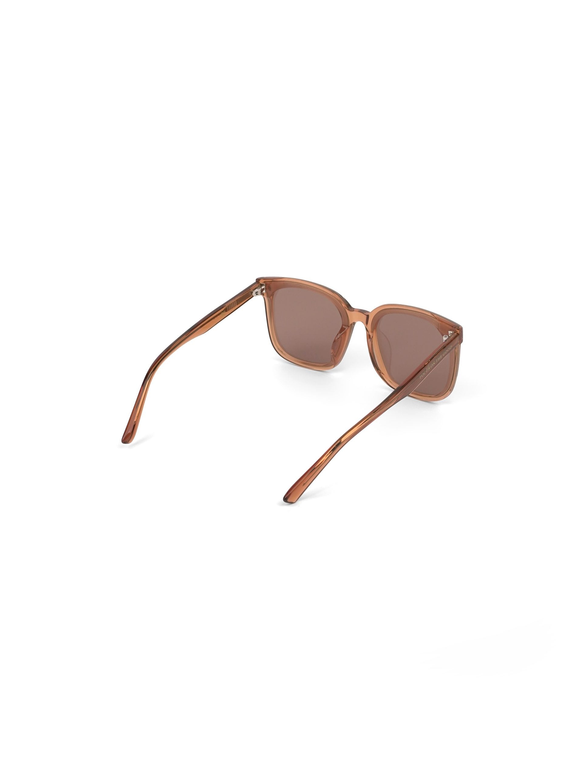 Goble Sunglasses Collection BROWN