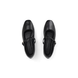 Stellar Collection BLACK