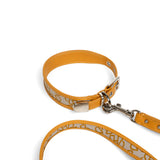 Fosse Collection (Pet Leash & Collar)