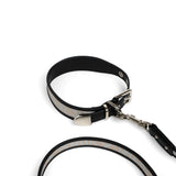 Fosse Collection (Pet Leash & Collar)