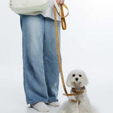 Fosse Collection (Pet Leash & Collar)