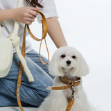 Fosse Collection (Pet Leash & Collar)